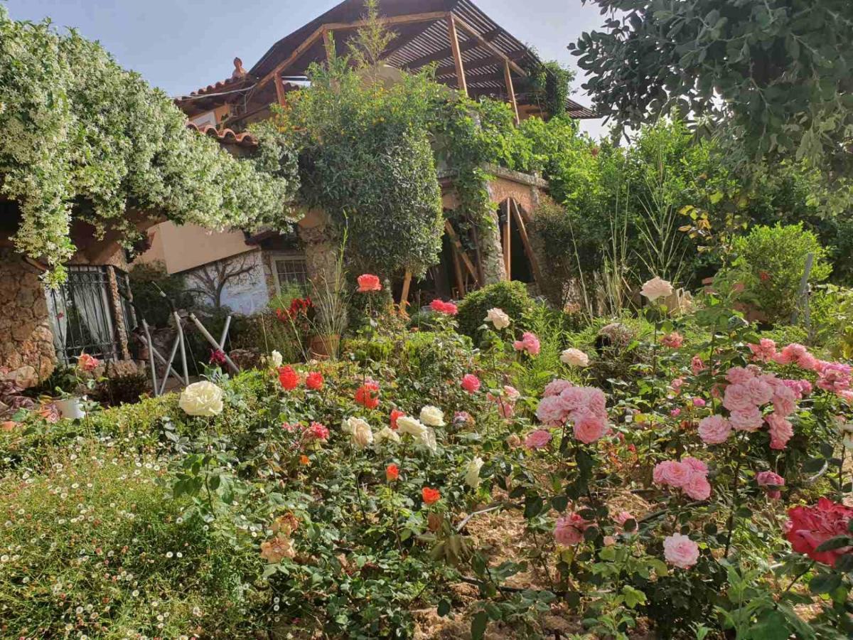 Nadia'S Traditional Greek House Анависсос Экстерьер фото